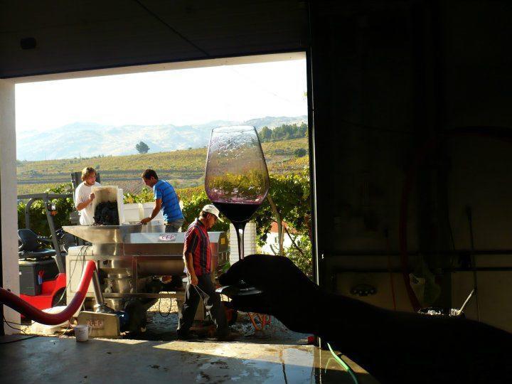 Villa Quinta Da Padrela Winery House Tabuaço Zimmer foto