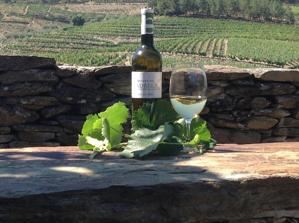 Villa Quinta Da Padrela Winery House Tabuaço Zimmer foto