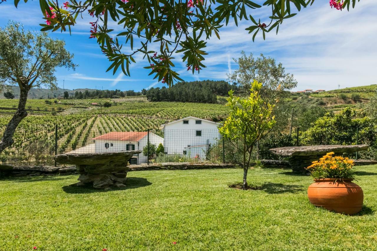 Villa Quinta Da Padrela Winery House Tabuaço Exterior foto
